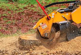 Best Tree and Shrub Care  in Stanford, KY